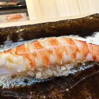 THE SUSHI TOKYO 旬 - 車海老