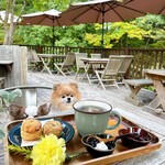 ガフロカフェ バイ フラワーフィールド - 