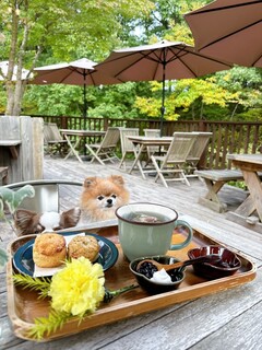 GAFLO CAFE by Flower FIELD