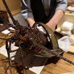 温石 - 大きな地物の伊勢海老ヽ(´▽｀)/