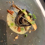 ノガラッツァ - 