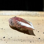 鮨 西崎 - プリプリの鯵！
      行き過ぎてない、程よい脂乗り。
      あさつきとの相性の良さは、まさにこの上ナシです(^^)