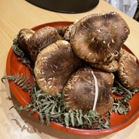 白虹 - 
