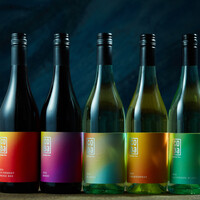 SKIGH WINE, CODA BLANCO 2023