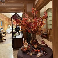 スプレンディード - 