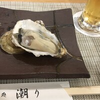 潮り - 