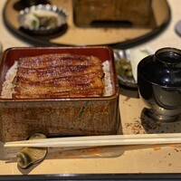 うなぎ 目白ぞろ芽 - 