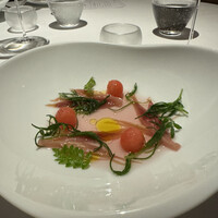 レフェルヴェソンス - 