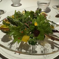 レフェルヴェソンス - 