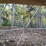 トコシエの森 - テントからの眺め