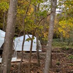 トコシエの森 - 森の中にあります