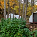 トコシエの森 - 客席となるテント3つ