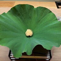 宮坂 - 