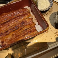 うなぎ 目白ぞろ芽 - 
