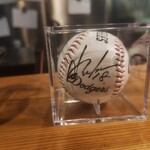 鯖とか烏賊とか真とか - アメリカから送られてきたそうです