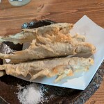 イザカヤ コン - 