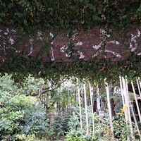 草門去来荘 東村山店 - 