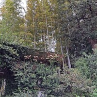 草門去来荘 東村山店 - 
