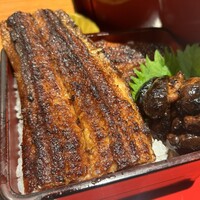 炭焼 うな富士 有楽町店 - 