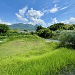 ラレーヌ アリス - 