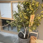 橦木町 しみず - 