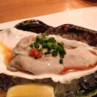鮨 茶居庵 - 牡蠣（けっこうでかい）