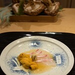 富小路 やま岸 - 