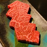 犬宿しらくら - 