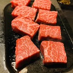 犬宿しらくら - 