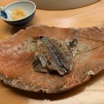 浪速 鮨波留加 - めひかり