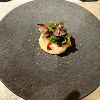 Maison B - 