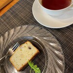 魚食屋れすとらん びび - 