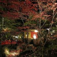 うかい鳥山 - 紅葉がとても綺麗だった庭園（上手く撮れませんでした）