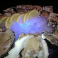 MAIMON GINZA - 