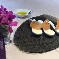 スミレオオサカ - 