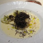 トムクリオーザ - 