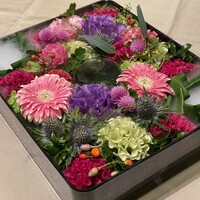ラッフィナート - 