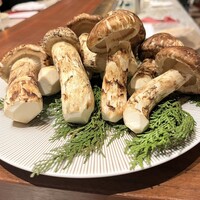 スガラボヴィー - 