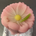 久栄堂菓子舗 - 『ねりきり(秋桜)』