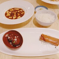 中国料理 龍鳳(ホテルアゴーラリージェンシー大阪堺) - 肉団子　春巻き