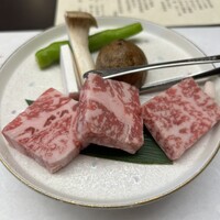 山茶花 - 