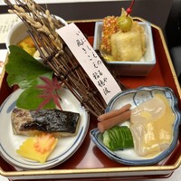 山茶花 - 