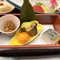 山茶花 - 