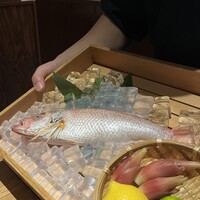 のどぐろ専門 銀座 中俣 - 