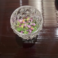 鮨 さえ喜 - 