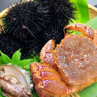 新鮮な海の幸 和食 吉福_2
