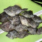 貴ぶ - 前日釣った久里浜沖のカワハギ