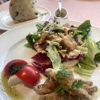 La Terrazza SABATINI - 