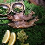 船山温泉 - 岩魚の塩焼き他