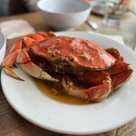 CRUSTACEAN - 